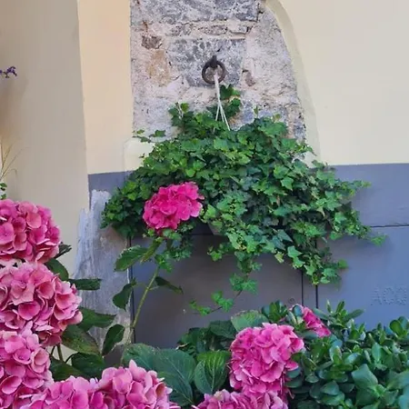 Pensionat Relais Casa Spanu Dorgali
